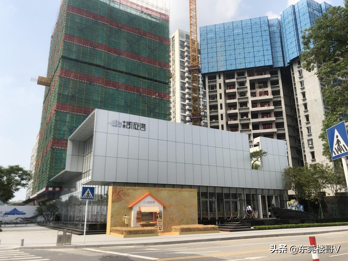 妤煎摜韪╃洏涓囩涓ぉ閲戝煙涓栧,妤煎摜璺戠洏