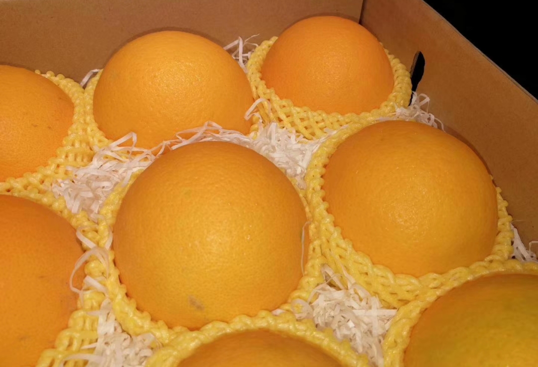 全球十大名橙排名,国内外名橙