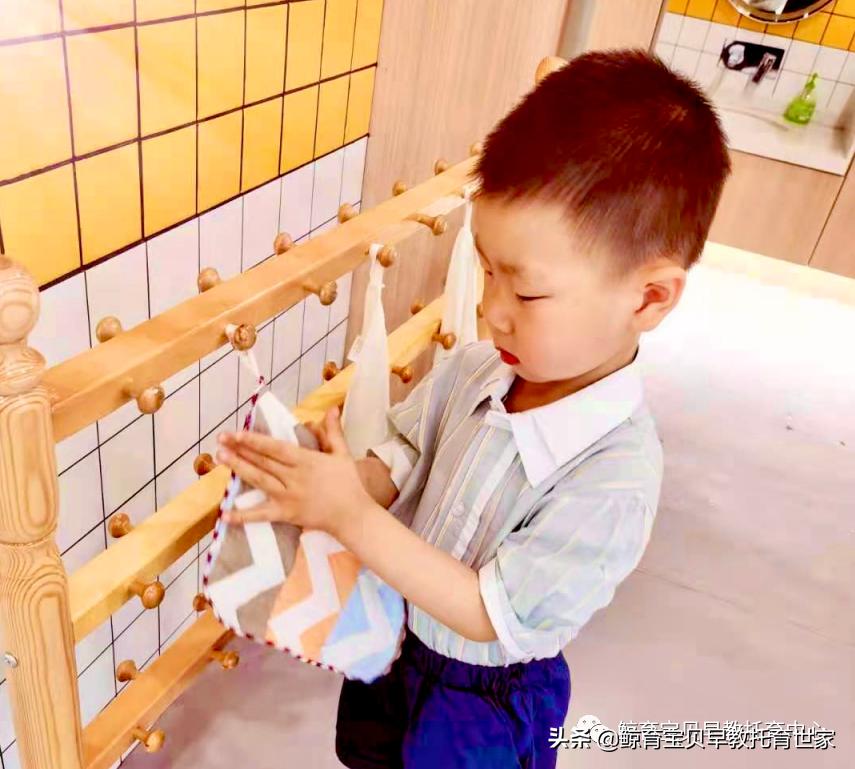 小橙子成长日记,我和橙子的成长日记