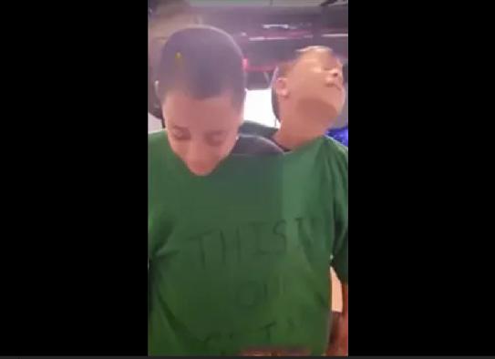 大宝和二宝吵架怎么处理,家中大宝和二宝打架该怎么处理