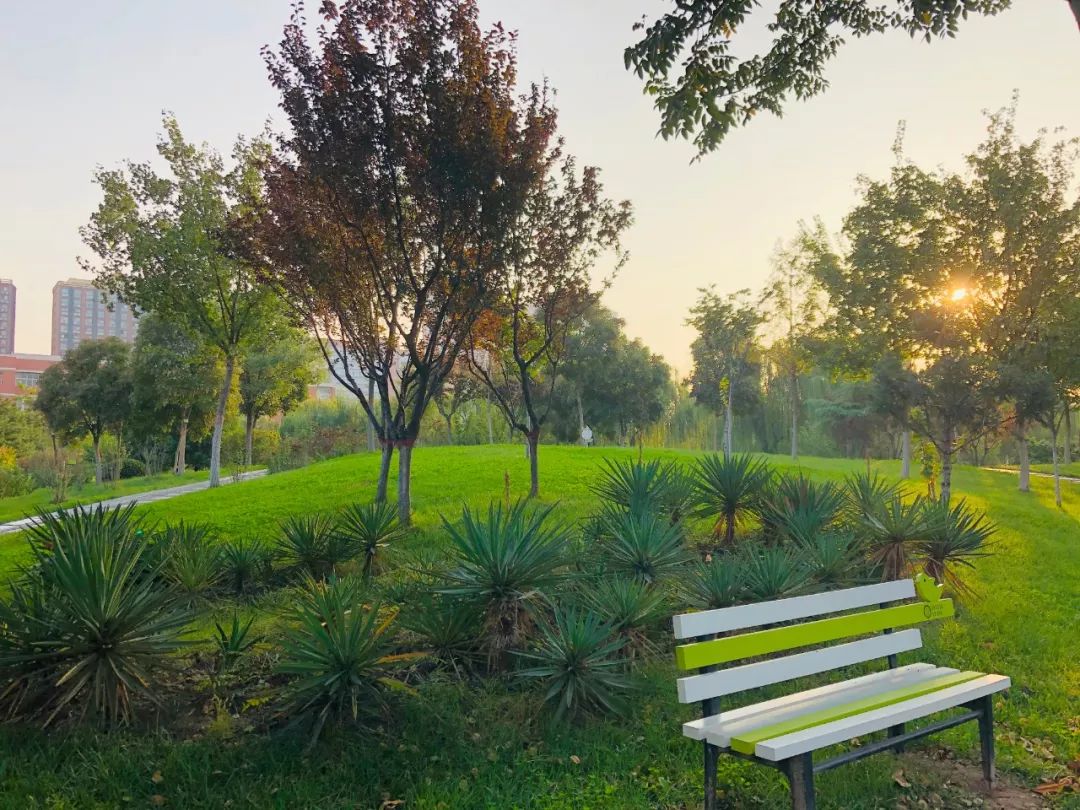 西安四大医学院,西安医学院第三临床医学院