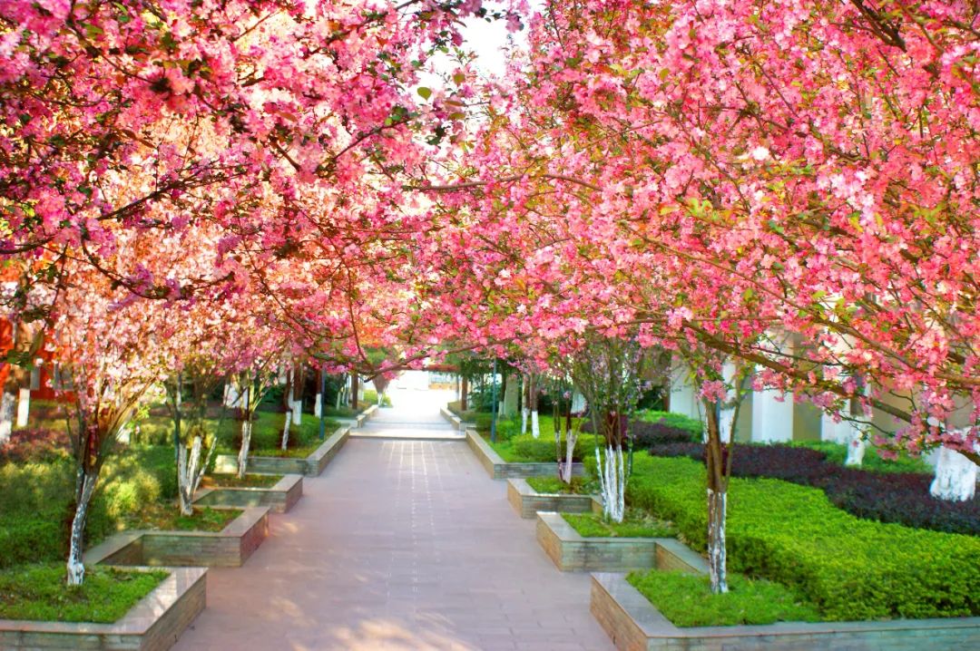 学长说|一所学校到底好不好，初三学姐学长最有发言权