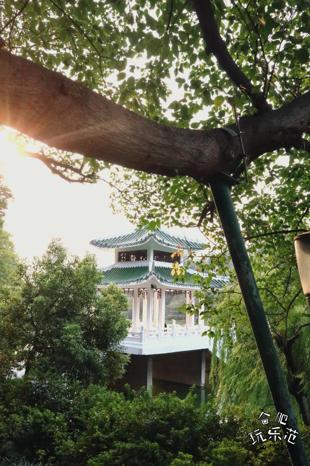 观银河,看银河听风吟的视频