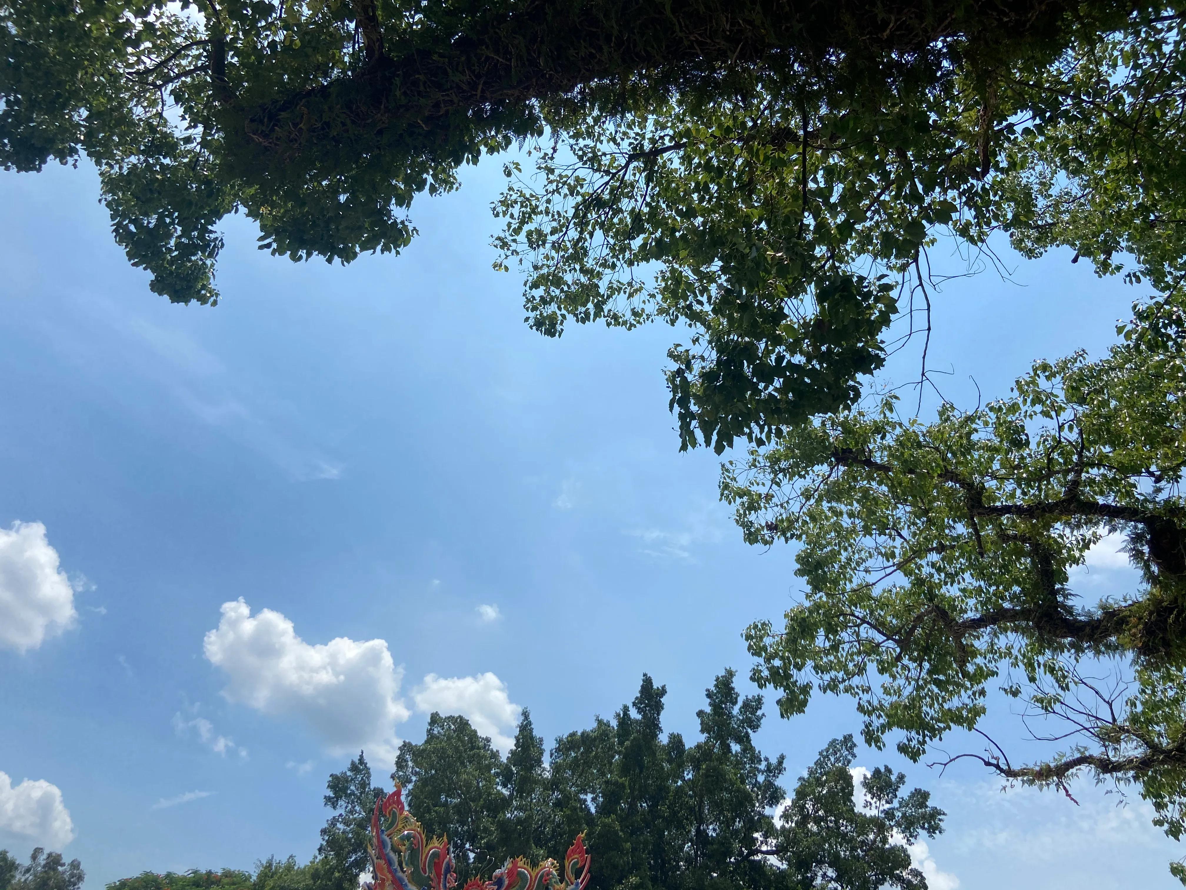 吃一堑长一智歌曲,吃一堑长一智的句子