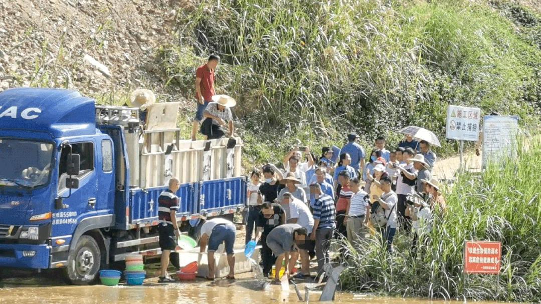 我为群众办实事法院工作报道,我为群众办实事与乡村振兴相结合