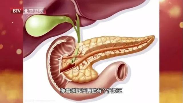 甘油三酯升高饮食到底怎么吃才好,甘油三酯偏高哪些食物千万别多吃