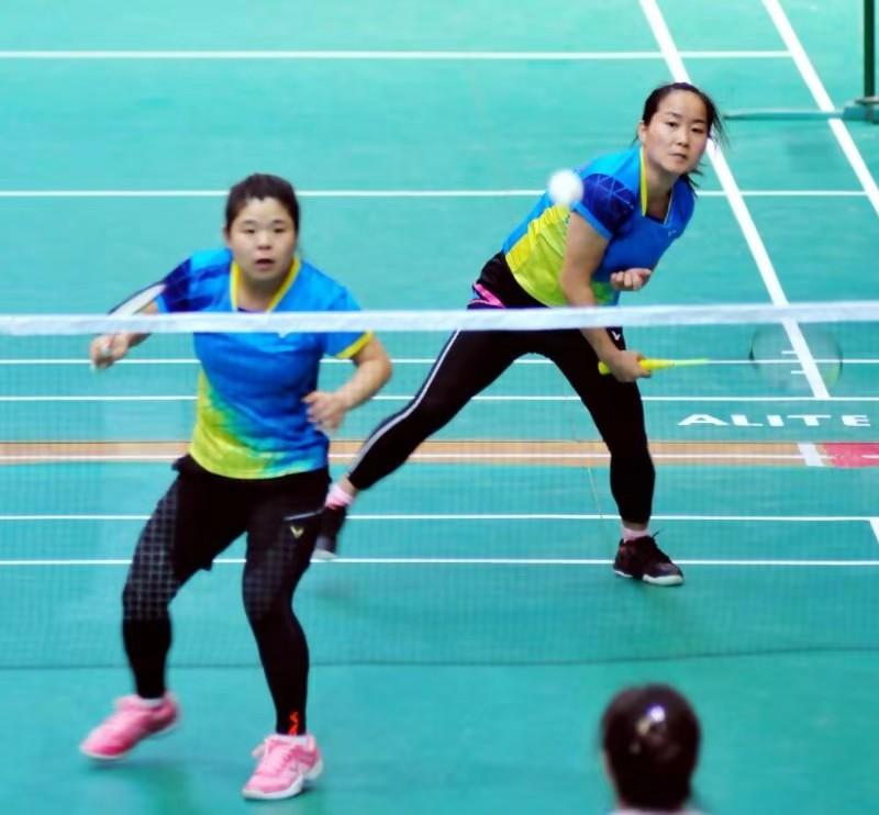 亚狮龙大赛,亚狮龙羽毛球赛