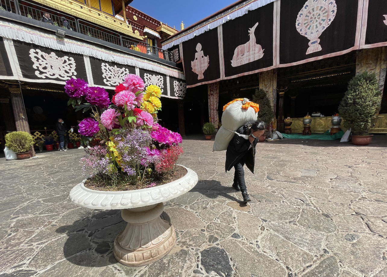 游1300年历史大昭寺，遇17岁无证导游，她说已做了四年讲解