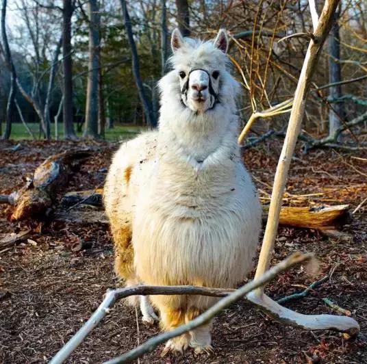 当女神变老,当女神变老了