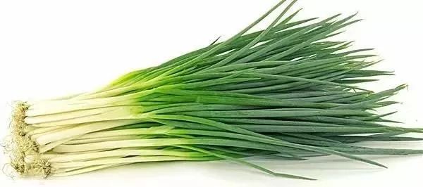 葱是菜还是调料,葱是荤