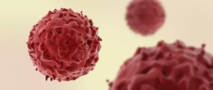 肠道菌群对人体健康的影响,什么中药对肠道菌群的调节作用