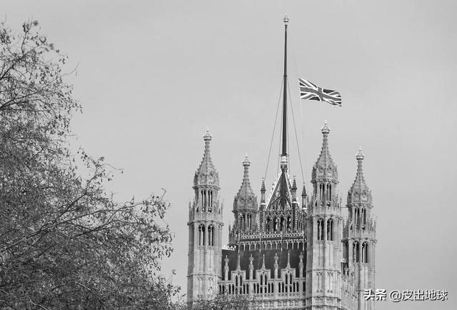 日本大熊猫降半旗,大熊猫为什么降半旗