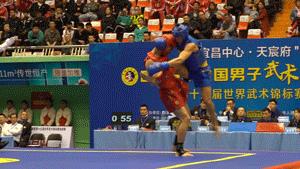 付高峰vs一龙,付高峰播求比赛视频