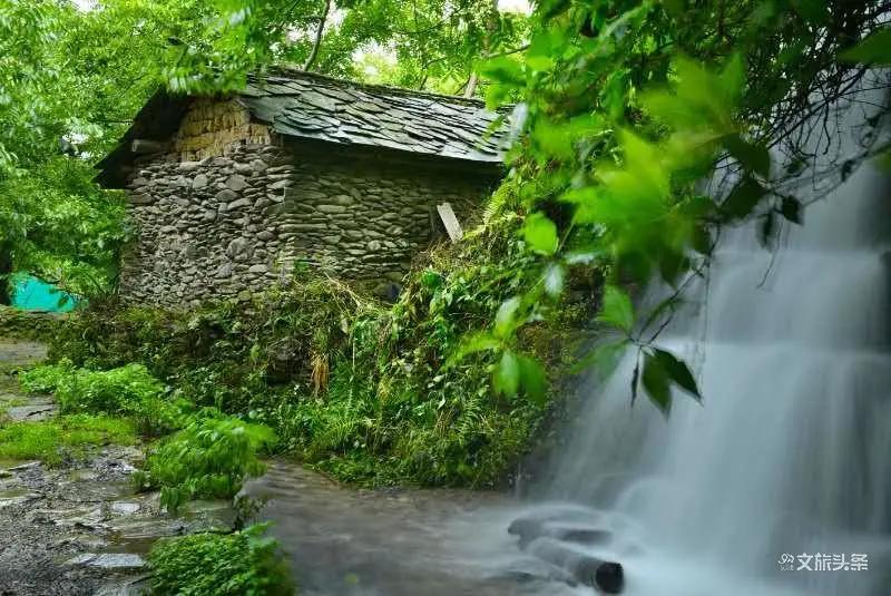 探寻世外桃源,凤庆滇红茶景区