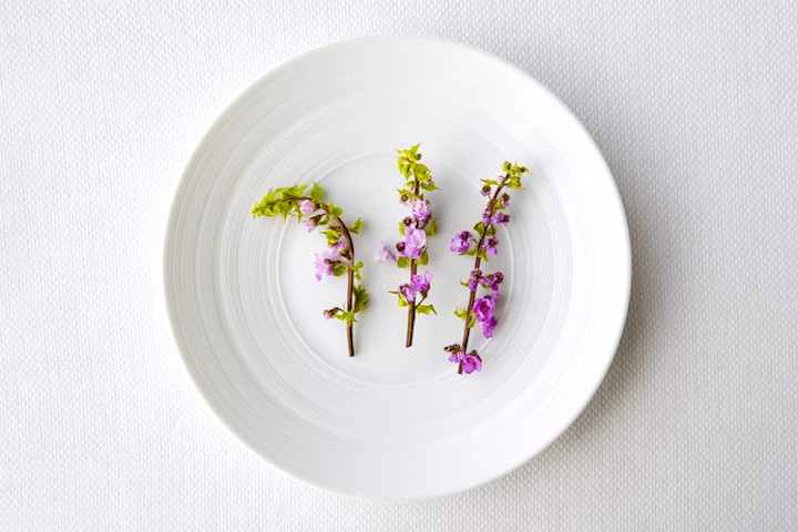 15种挑菜方法 (择菜方法与技巧)