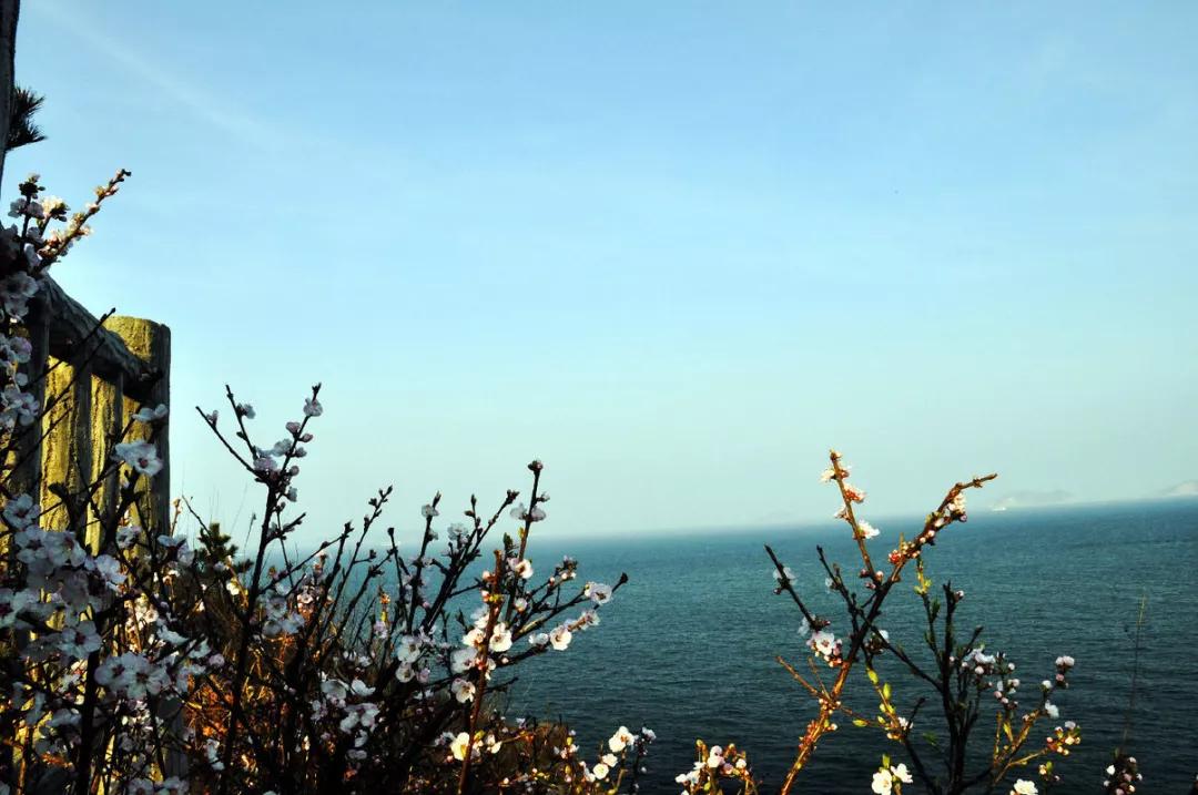 面朝大海春暖花开王凯,面朝大海春暖花开王凯朗诵视频