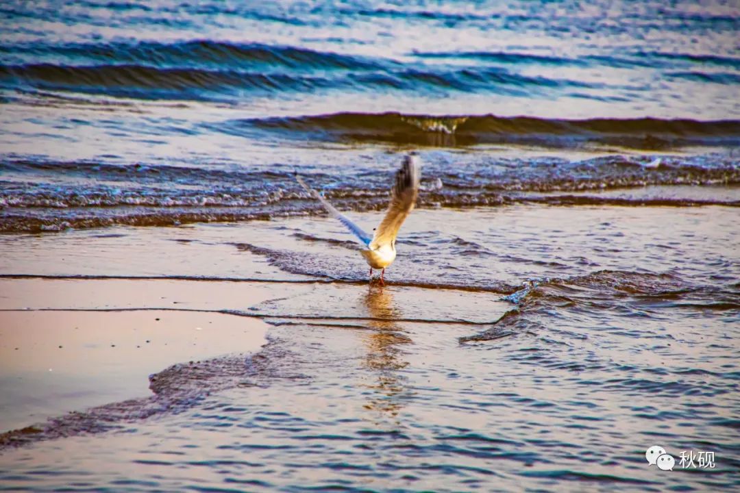 北戴河房车自驾游攻略,南戴河房车自驾游