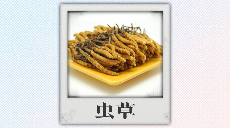 中医救人不救病怎么办呢,中医药救人