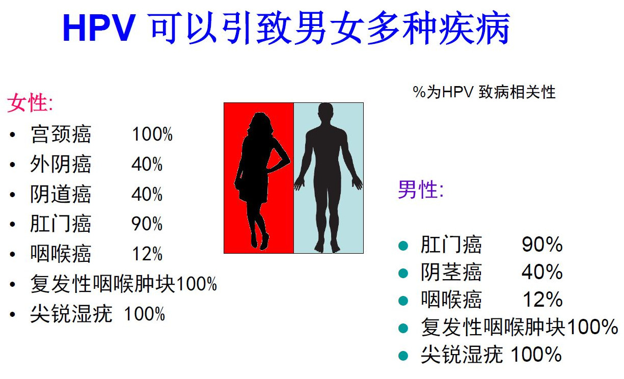 密恐慎入,密恐患者慎入的危害
