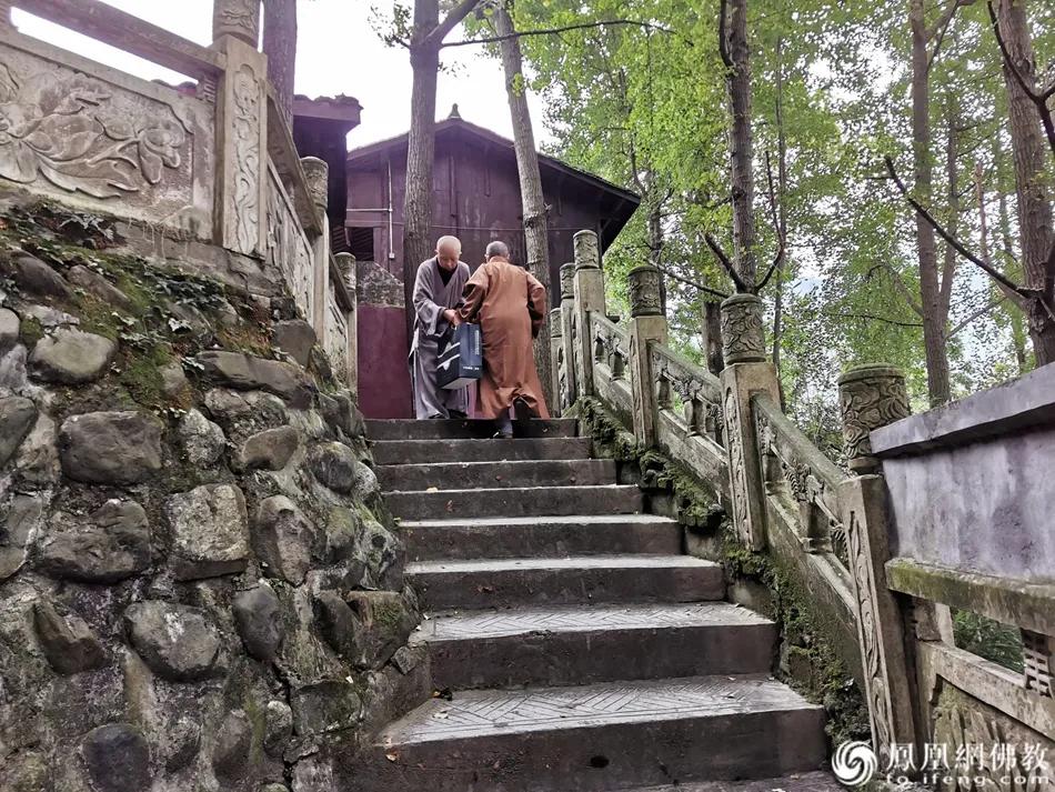 我太难了被骂视频,我太难了被嫌弃原因