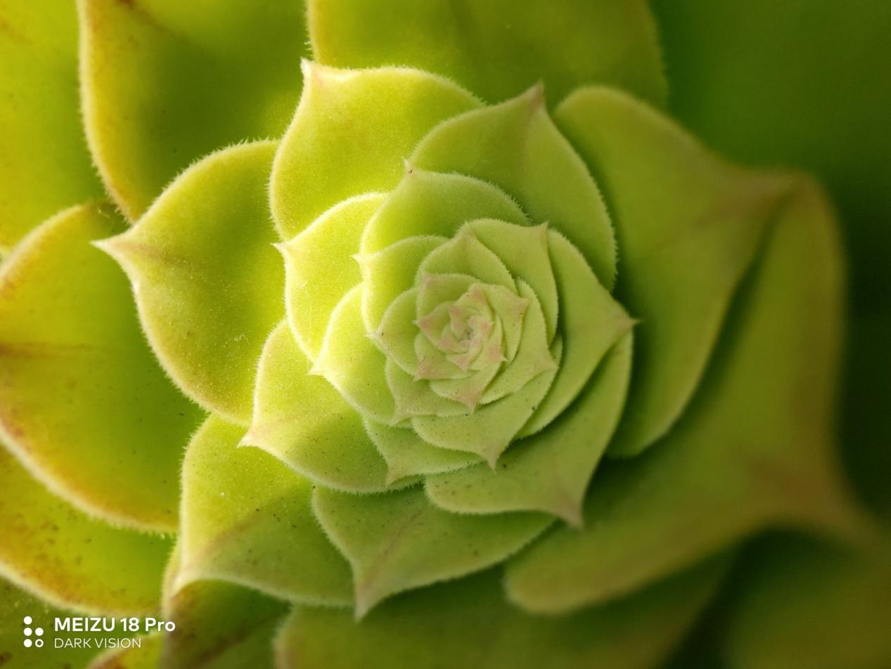 魅族18和魅族18pro买哪个好,魅族18s18pro与18x区别