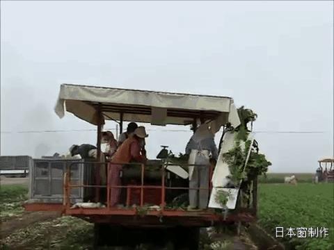 日本农业微型机器,日本农业机械基础