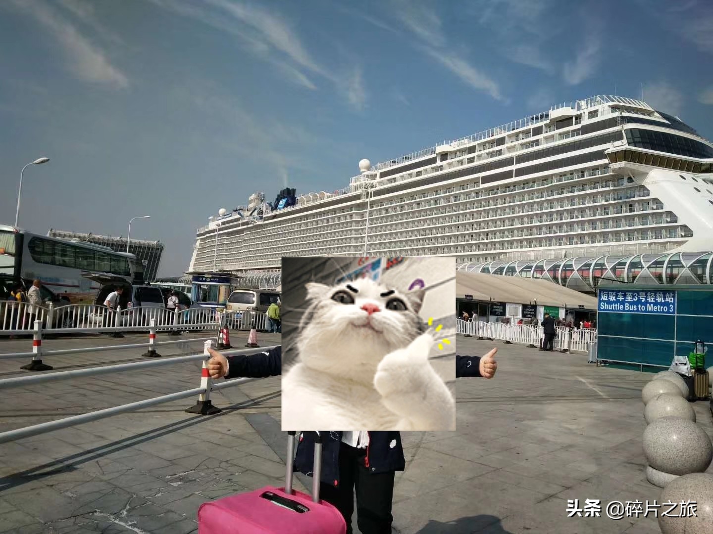 上海游轮去日本攻略,上海去日本的邮轮旅游攻略