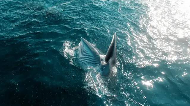 爽啊，一波爆炸！春节假期终于可以彻夜狂欢（上）