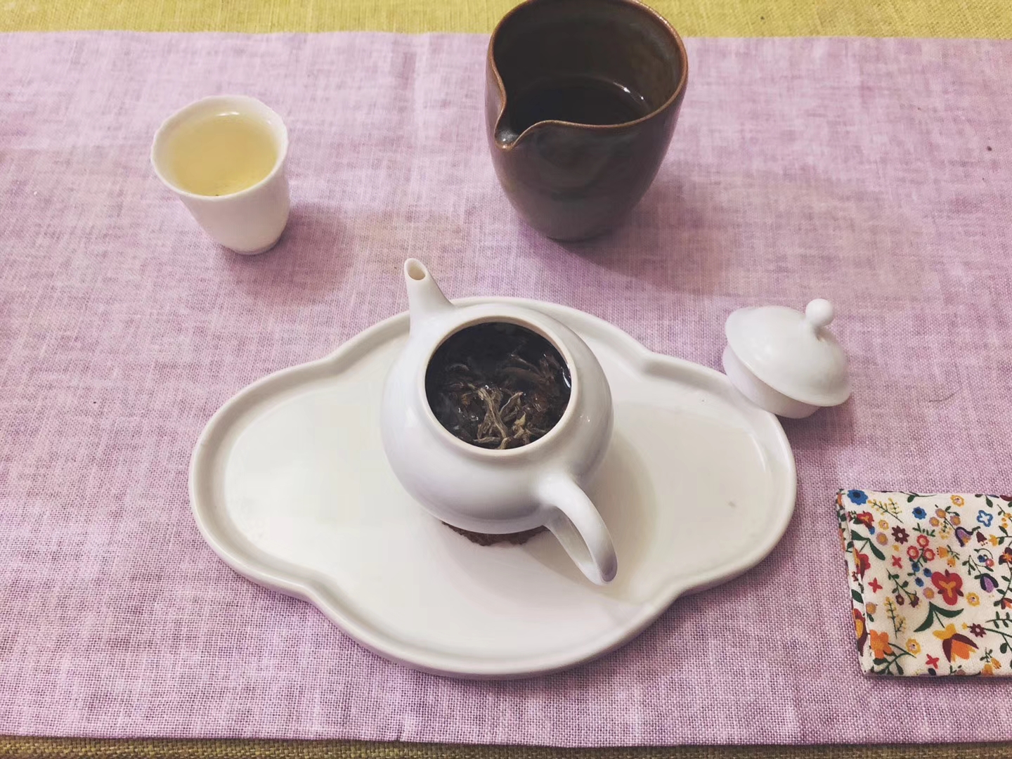 小仙女茶叶,小仙女科普视频