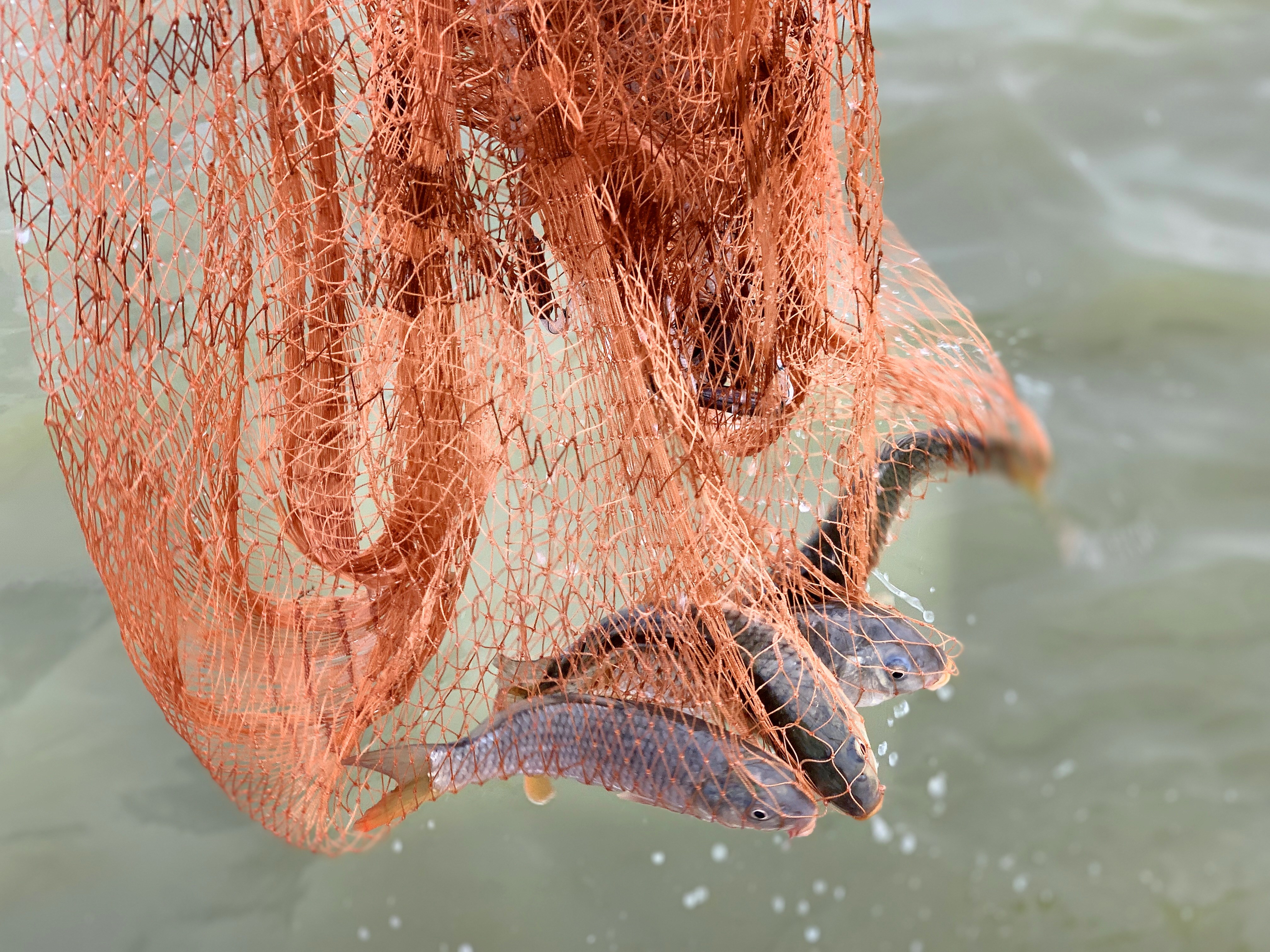 亲子游玩好去处嬉水狂欢,京津冀亲子游温泉乐园