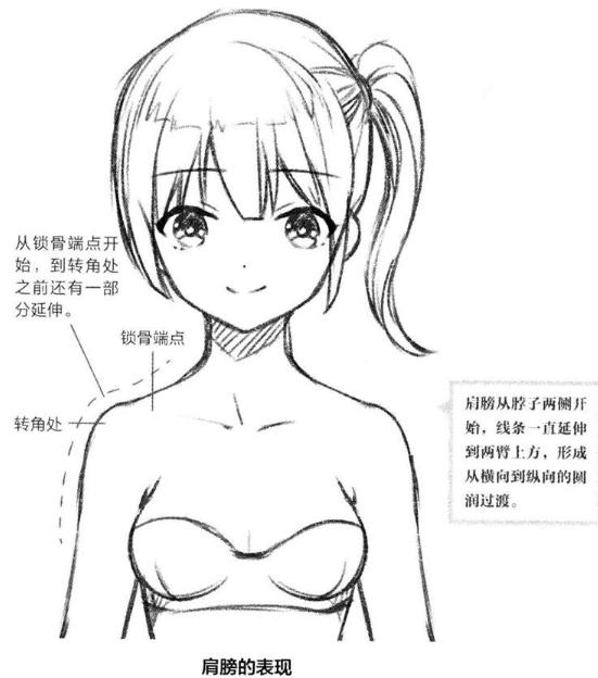 零基础漫画侧脸教程,初学漫画头入门零基础