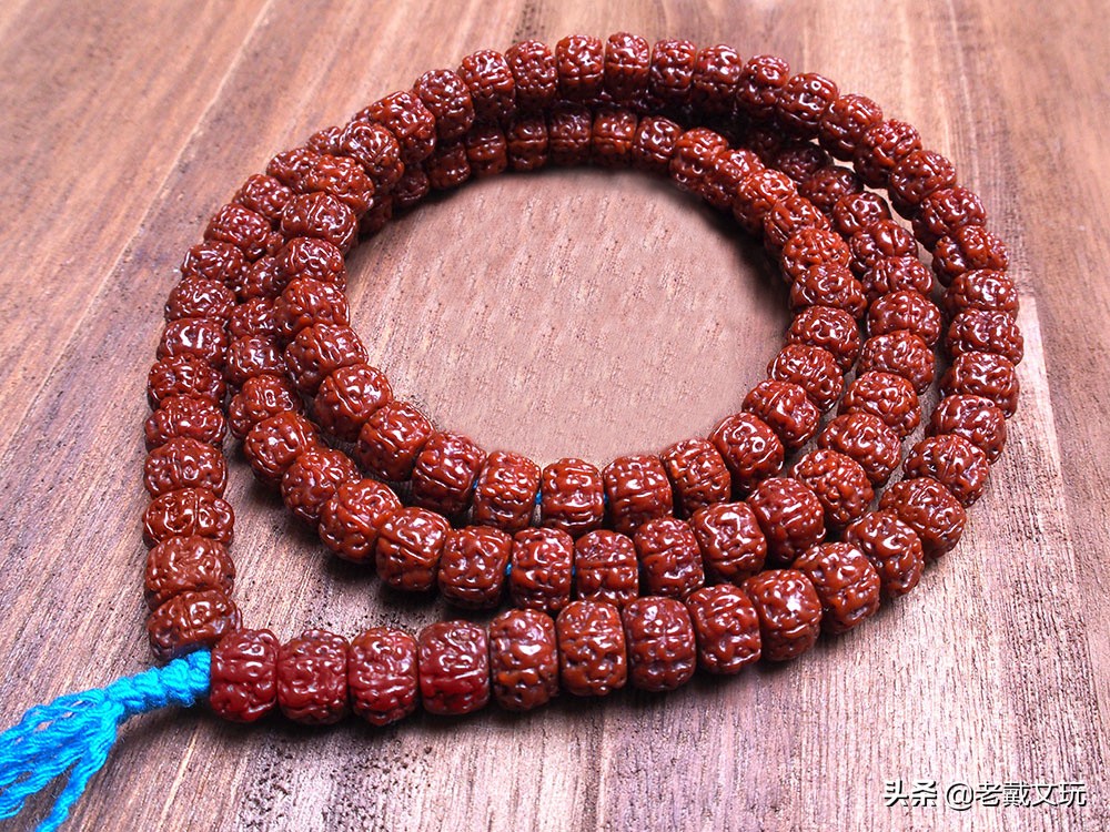 文玩手串金刚菩提心得,小金刚菩提子基础知识
