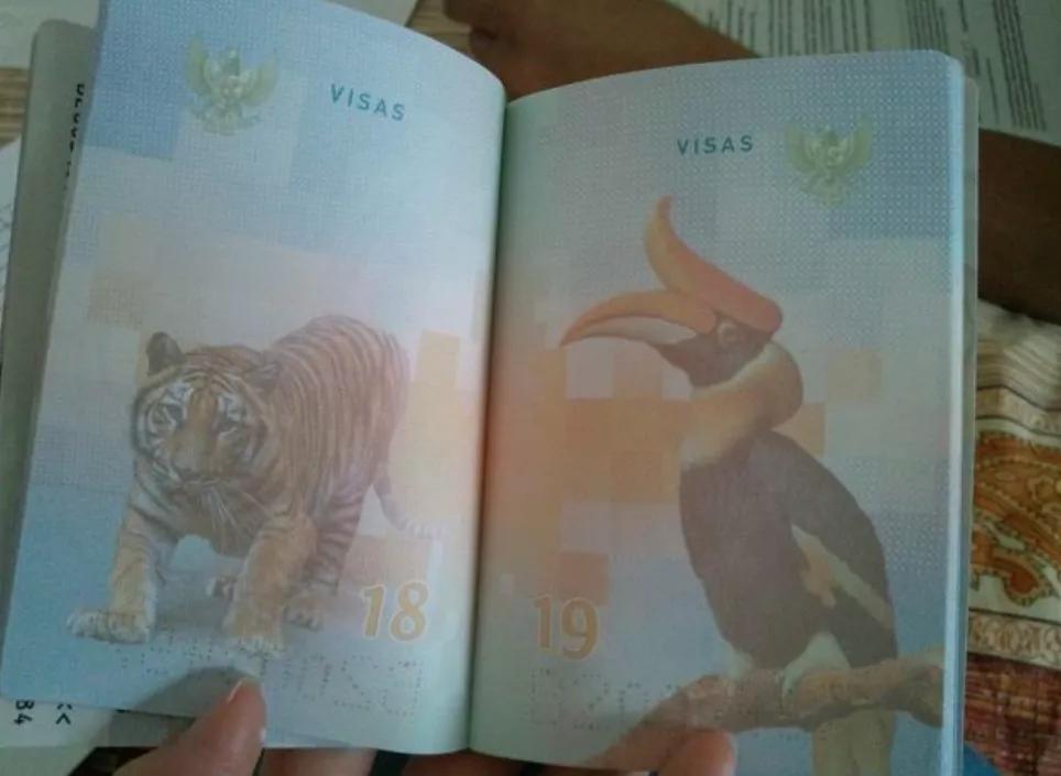 全球十大顶级国际护照,世界最美护照国家