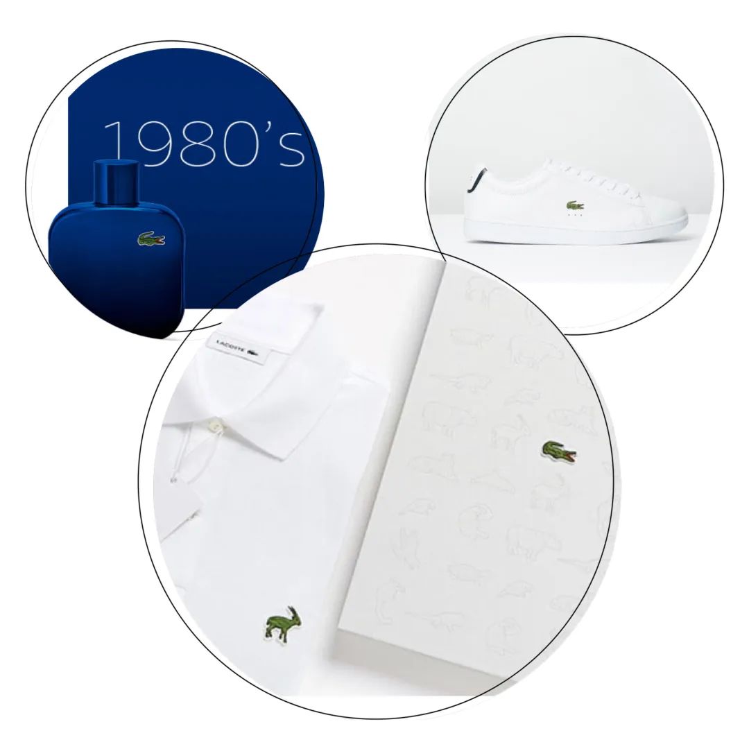 lacoste鳄鱼属于什么级别,lacoste鳄鱼是什么意思