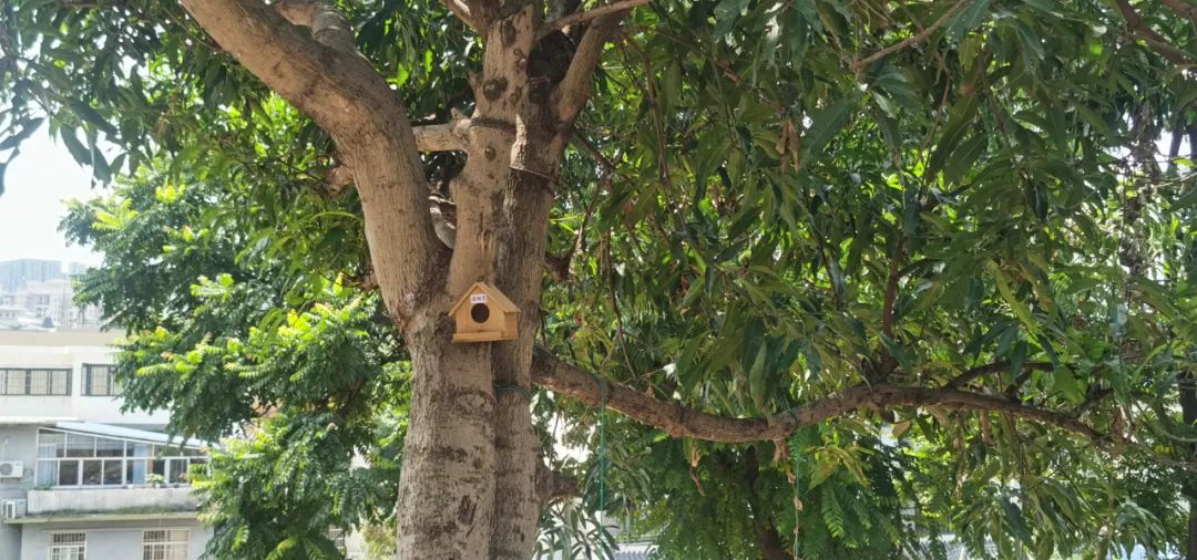 石牌里民宿文旅街区肇庆,肇庆石牌里民宿创意园