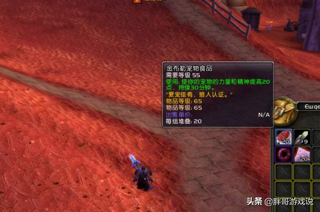 魔兽怀旧服wlk猎人新手攻略,tbc猎人蒸汽坦克