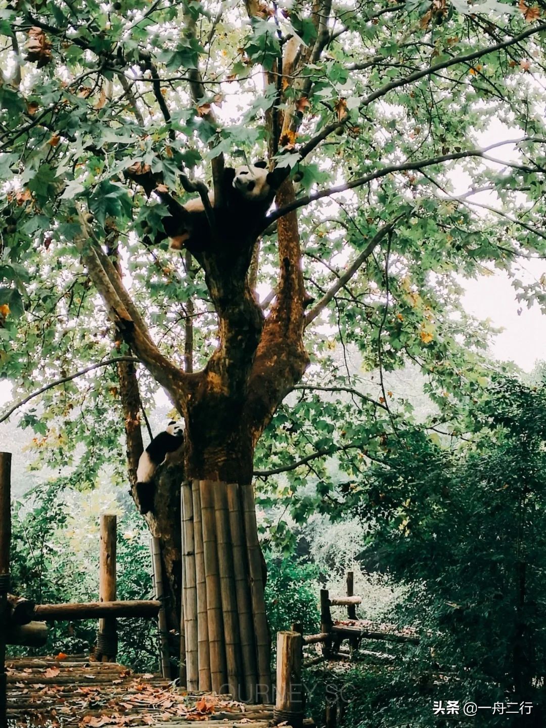 成都二三五科技有限公司,成都二三里