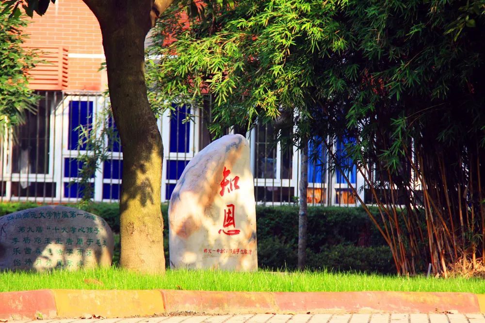 没有实验班，控制作业量！师大一中的出口成绩却一直硬核