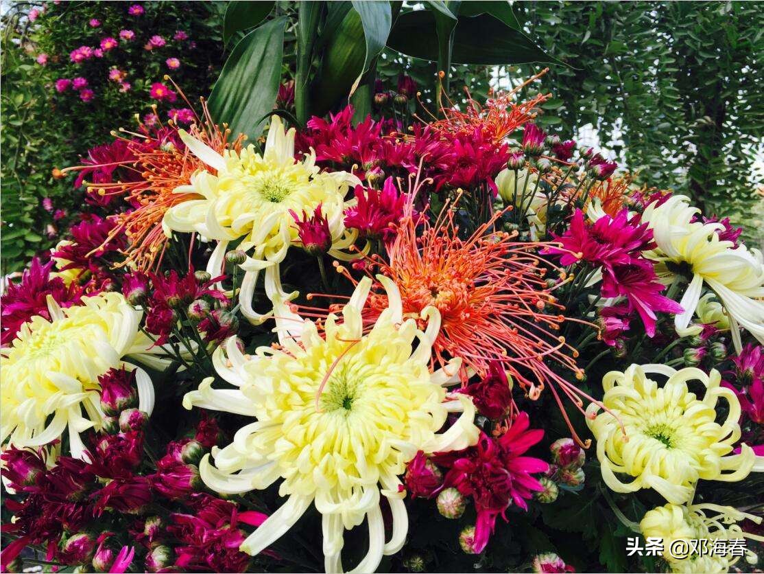 开封府清明上河园一日游攻略,开封清明上河园游玩笔记