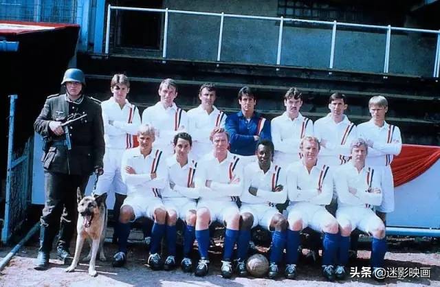 贝利史泰龙主演的电影,贝利和史泰龙合作的电影