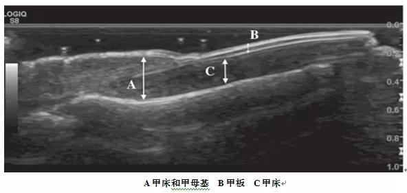 绉戝涔嬬獥,鍖婚櫌绉戝涔嬬獥