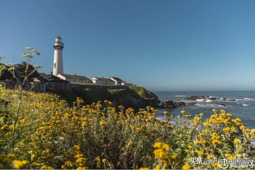 出国新西兰靠谱吗,现在出国新西兰怎么样