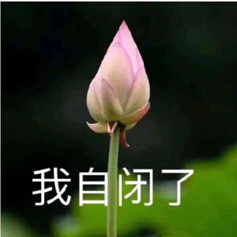 为什么自闭症的诊治如此困难?