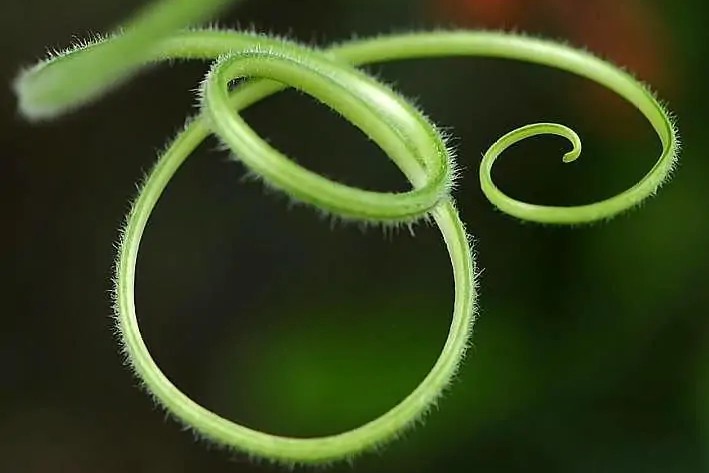 怎么面对女人之间的嫉妒,优秀的女人遭到同性的嫉妒吗