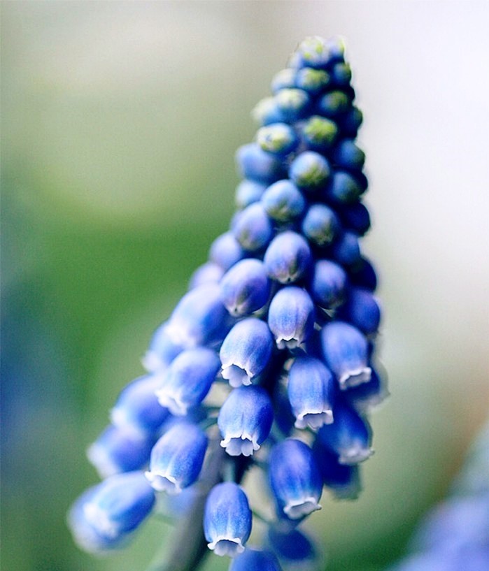 心灵鸡汤经典语录简短一句话,经典走心的心灵鸡汤语录句句精辟