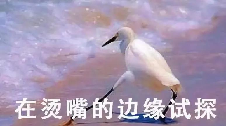 黑科技变冰水杯,喝水神器55度杯降温原理