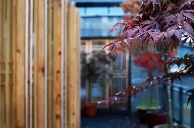 黄山黎阳in巷客栈,徽州十大特色民宿