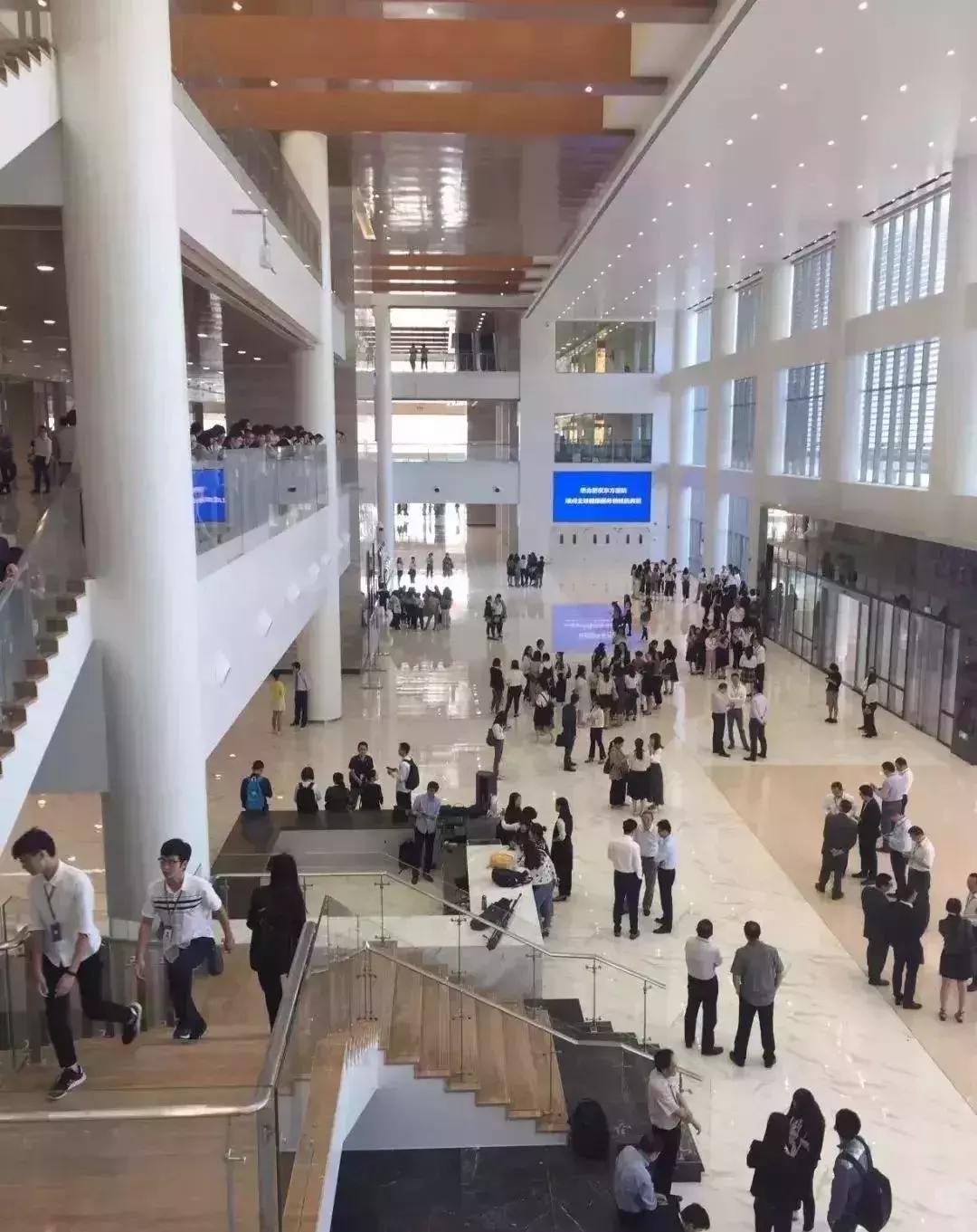 新站未来的潜力板块在哪里,新站发展最新消息