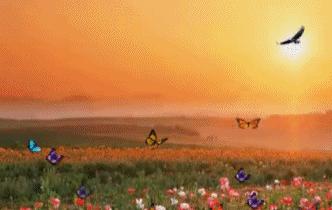 道德经第三十四章解释及译文,道德经三十四章全文及译文知乎