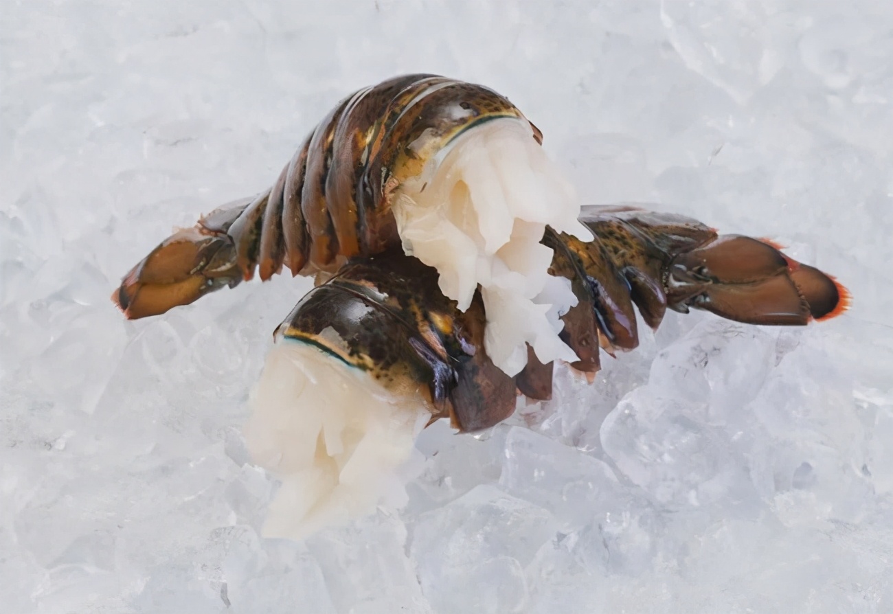 加拿大龙虾怎么处理,冷冻食品龙虾